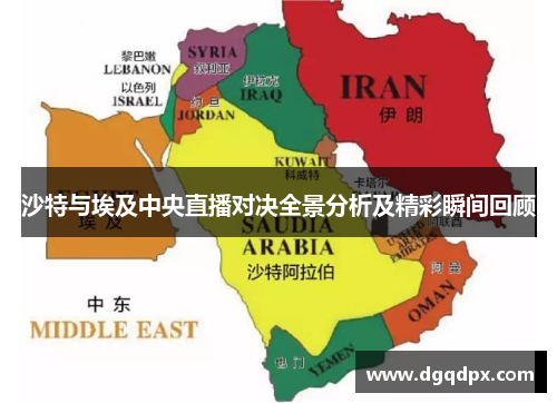 沙特与埃及中央直播对决全景分析及精彩瞬间回顾